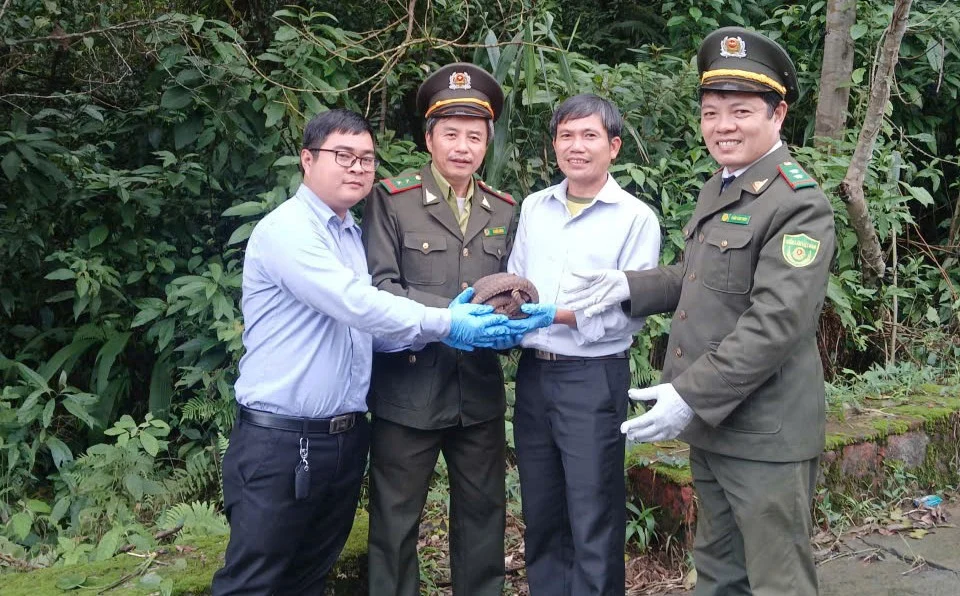 Satwa langka yang ditemukan  penduduk,  kini dilepaskan kembali ke Taman Nasional Bach Ma Vietnam