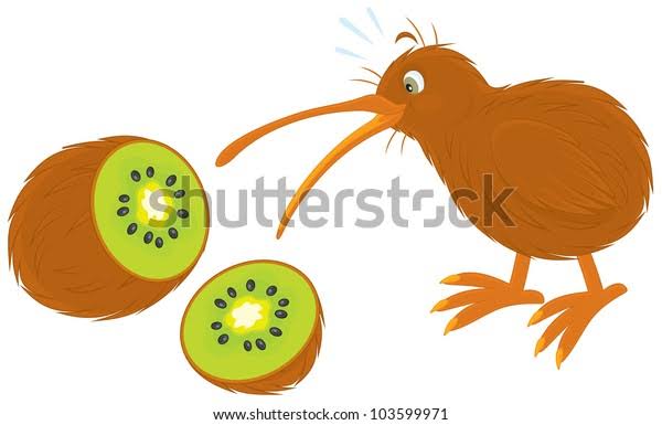 Kiwi ? Nama Burung atau Buah?