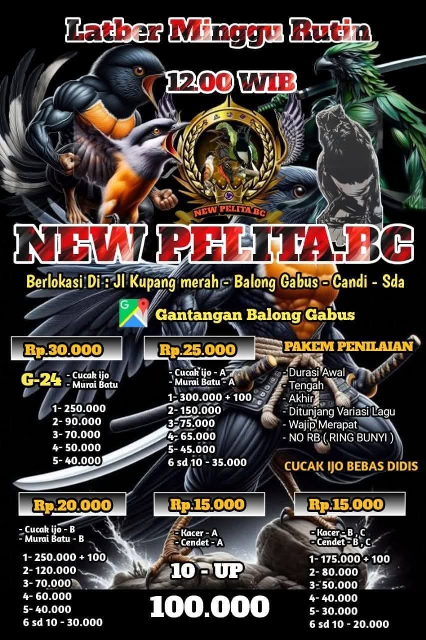 NEW PELITA BC (LATBER)