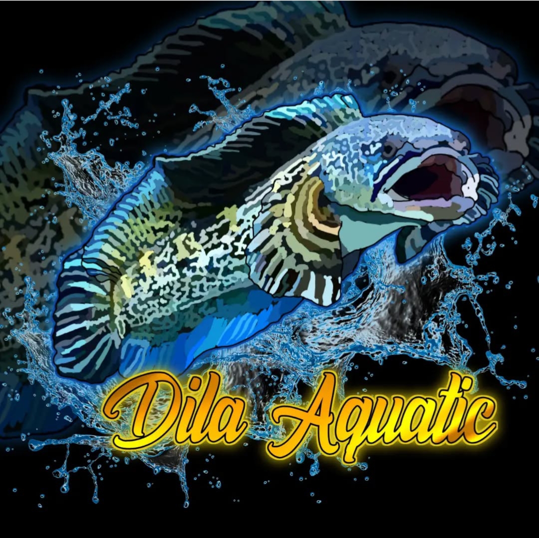 Dila Aquatic