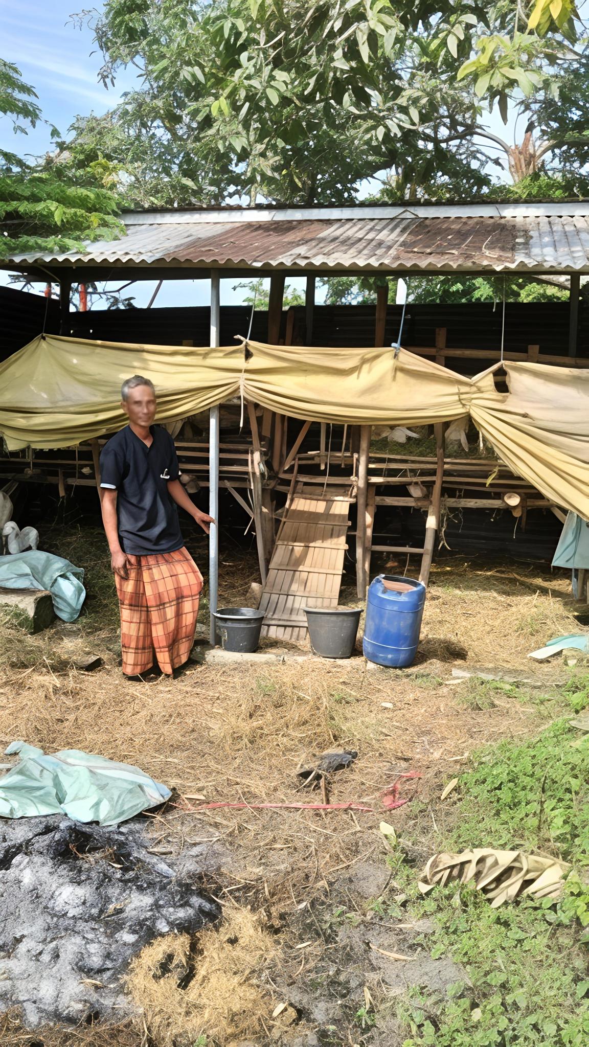 Kilas Peternakan Domba Handoyo Farm (Review Peternakan)