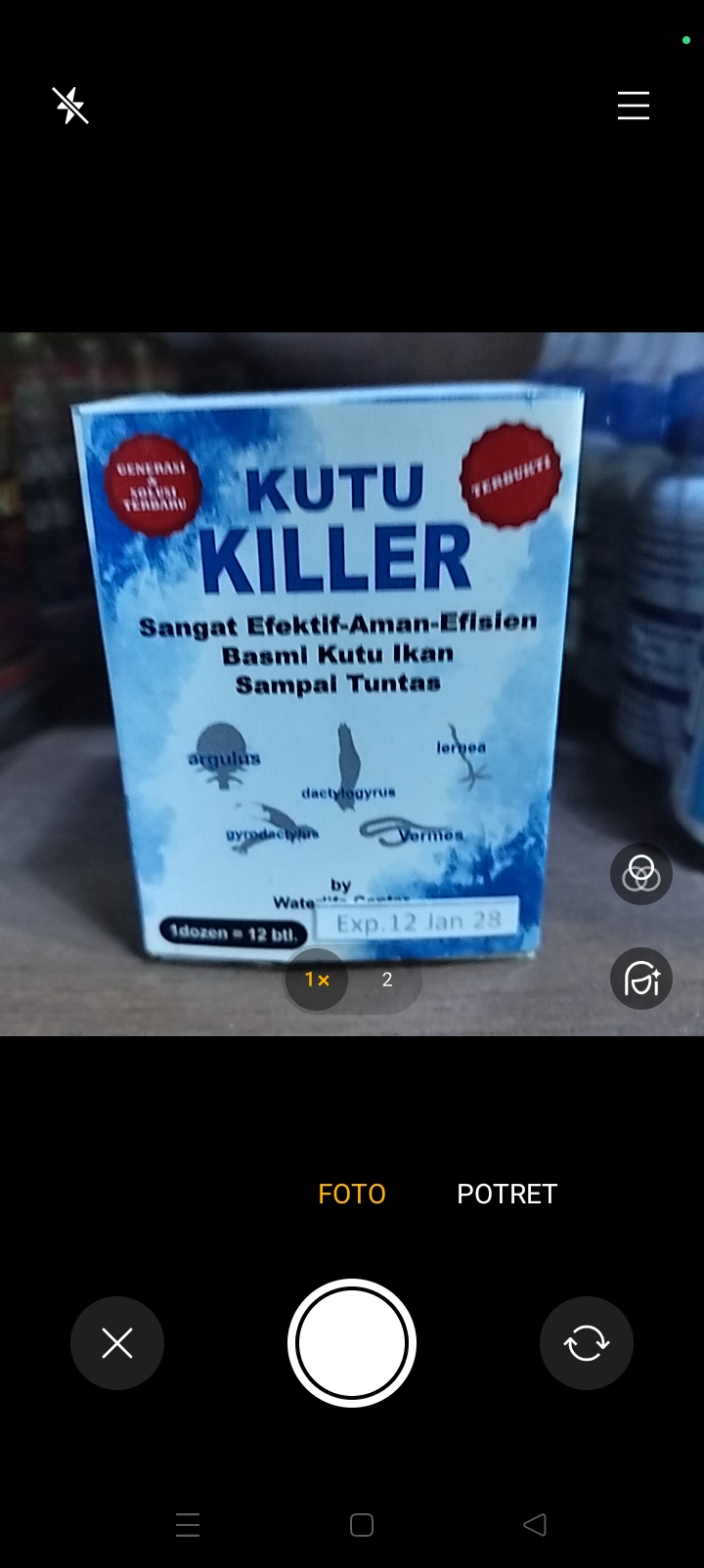 Kutu kiler