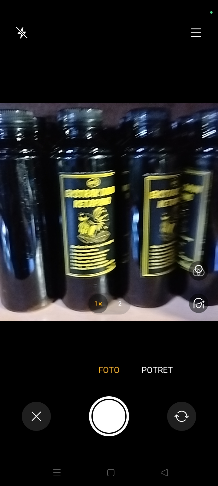 Ekstrak daun ketapang