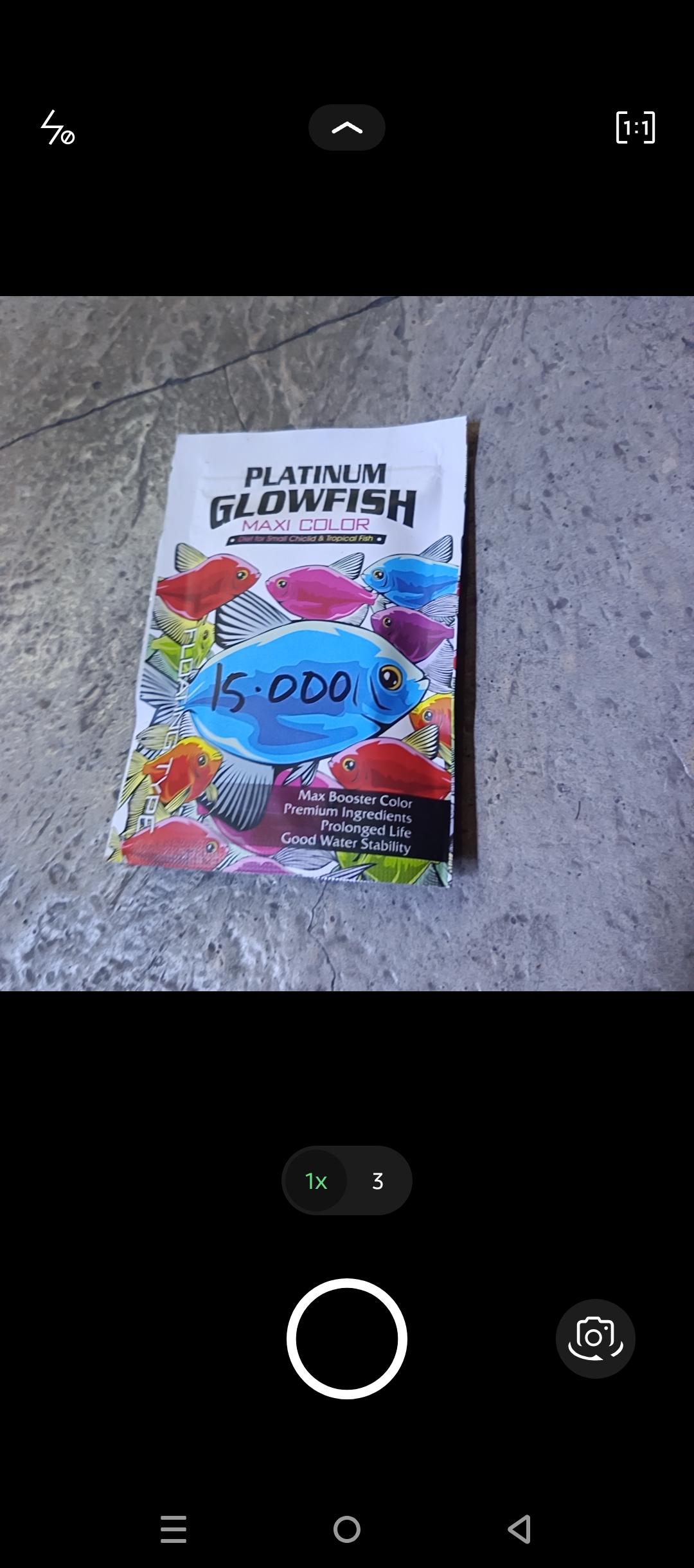 PLATINUM GLOWFISH